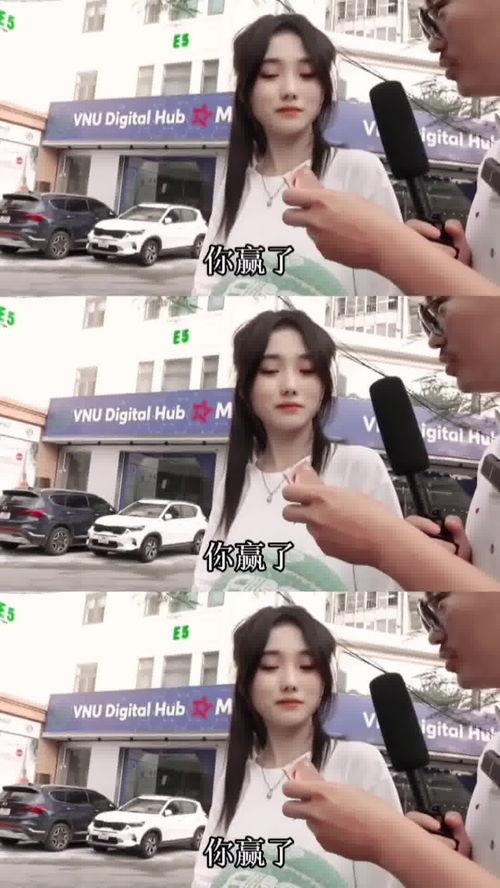 越南小姐姐爆料视频大全,揭秘生活点滴与时尚潮流